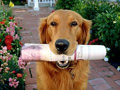 Where's My Tip!